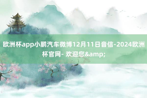 欧洲杯app小鹏汽车微博12月11日音信-2024欧洲杯官网- 欢迎您&