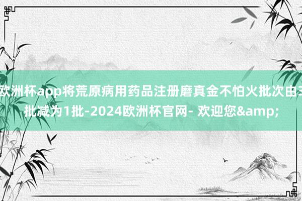 欧洲杯app将荒原病用药品注册磨真金不怕火批次由3批减为1批-2024欧洲杯官网- 欢迎您&