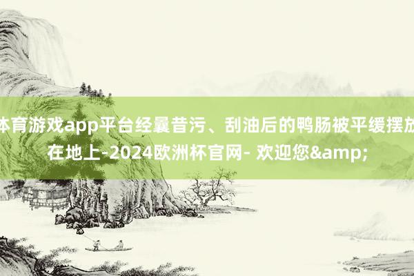 体育游戏app平台经曩昔污、刮油后的鸭肠被平缓摆放在地上-2024欧洲杯官网- 欢迎您&
