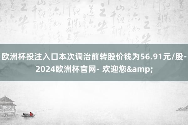 欧洲杯投注入口本次调治前转股价钱为56.91元/股-2024欧洲杯官网- 欢迎您&