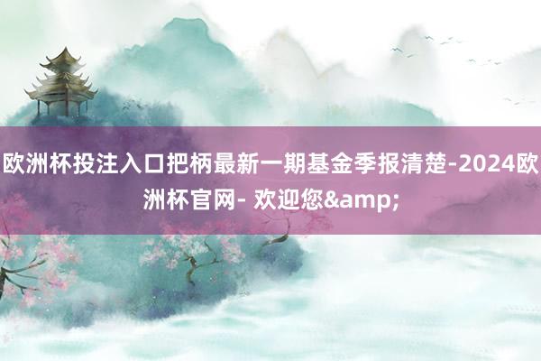欧洲杯投注入口把柄最新一期基金季报清楚-2024欧洲杯官网- 欢迎您&