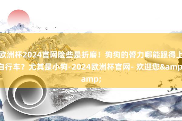 欧洲杯2024官网险些是折磨！狗狗的膂力哪能跟得上自行车？尤其是小狗-2024欧洲杯官网- 欢迎您&