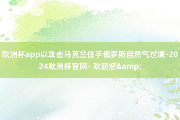 欧洲杯app以攻击乌克兰住手俄罗斯自然气过境-2024欧洲杯官网- 欢迎您&