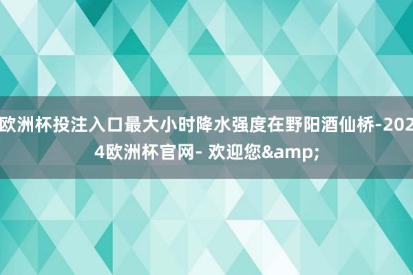 欧洲杯投注入口最大小时降水强度在野阳酒仙桥-2024欧洲杯官网- 欢迎您&