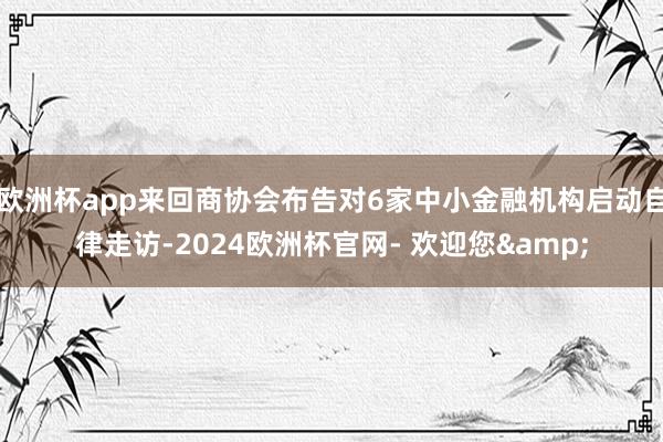 欧洲杯app来回商协会布告对6家中小金融机构启动自律走访-2024欧洲杯官网- 欢迎您&