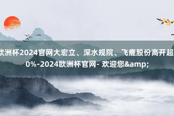 欧洲杯2024官网大宏立、深水规院、飞鹿股份高开超10%-2024欧洲杯官网- 欢迎您&