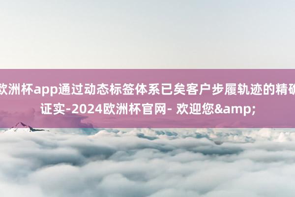 欧洲杯app通过动态标签体系已矣客户步履轨迹的精确证实-2024欧洲杯官网- 欢迎您&