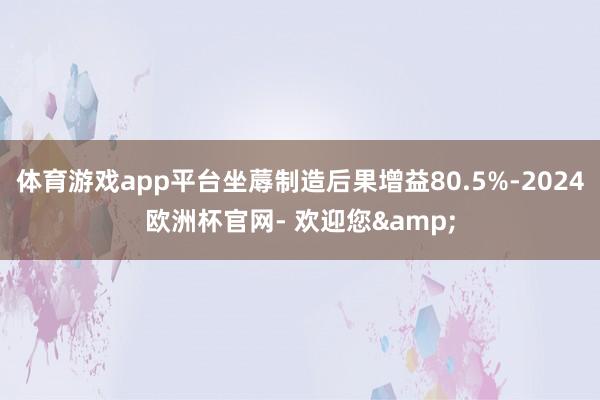 体育游戏app平台坐蓐制造后果增益80.5%-2024欧洲杯官网- 欢迎您&