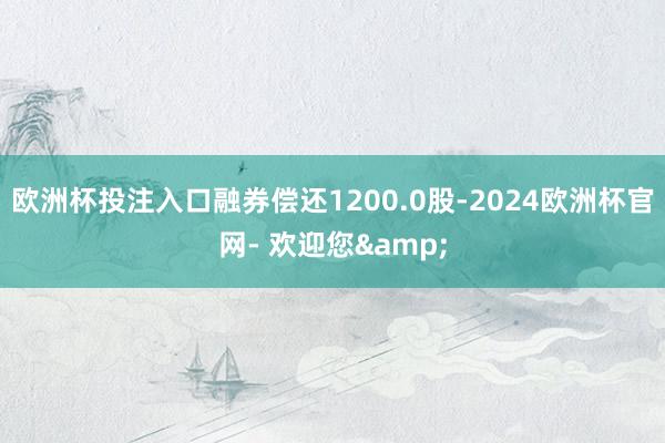 欧洲杯投注入口融券偿还1200.0股-2024欧洲杯官网- 欢迎您&