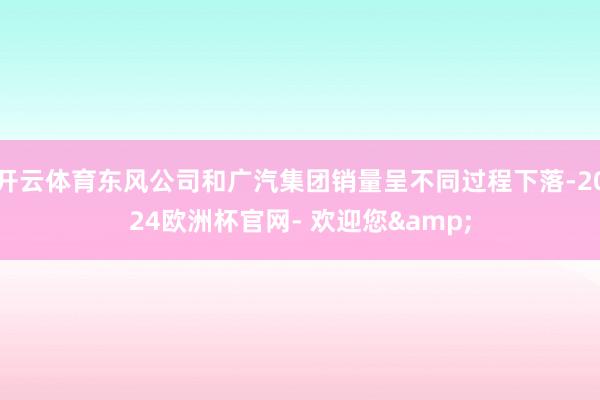开云体育东风公司和广汽集团销量呈不同过程下落-2024欧洲杯官网- 欢迎您&