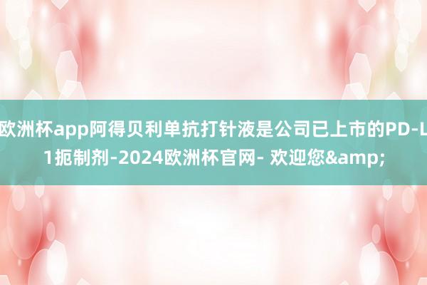 欧洲杯app阿得贝利单抗打针液是公司已上市的PD-L1扼制剂-2024欧洲杯官网- 欢迎您&