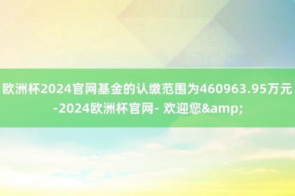欧洲杯2024官网基金的认缴范围为460963.95万元-2024欧洲杯官网- 欢迎您&