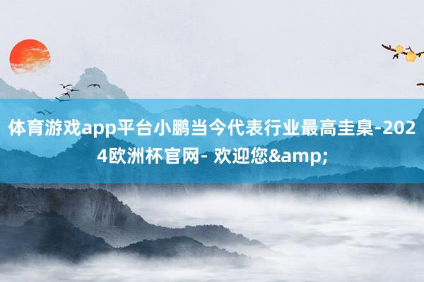 体育游戏app平台小鹏当今代表行业最高圭臬-2024欧洲杯官网- 欢迎您&