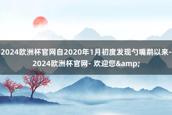 2024欧洲杯官网自2020年1月初度发现勺嘴鹬以来-2024欧洲杯官网- 欢迎您&