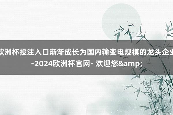 欧洲杯投注入口渐渐成长为国内输变电规模的龙头企业-2024欧洲杯官网- 欢迎您&