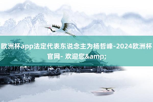 欧洲杯app法定代表东说念主为杨哲峰-2024欧洲杯官网- 欢迎您&