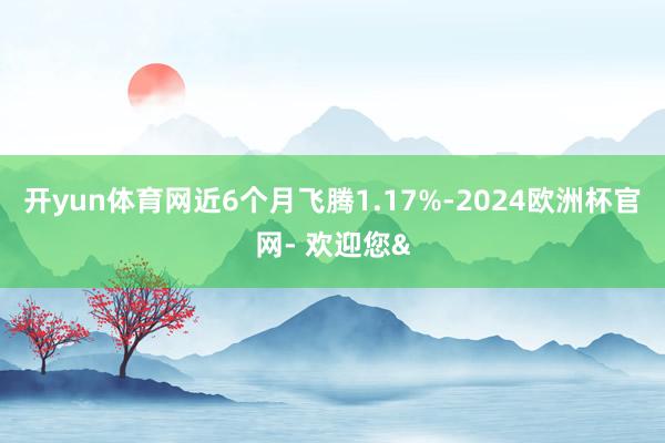 开yun体育网近6个月飞腾1.17%-2024欧洲杯官网- 欢迎您&