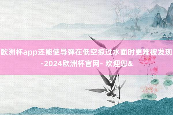 欧洲杯app还能使导弹在低空掠过水面时更难被发现-2024欧洲杯官网- 欢迎您&