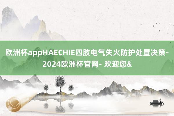 欧洲杯appHAECHIE四肢电气失火防护处置决策-2024欧洲杯官网- 欢迎您&