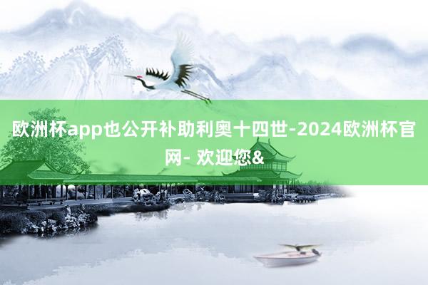 欧洲杯app也公开补助利奥十四世-2024欧洲杯官网- 欢迎您&