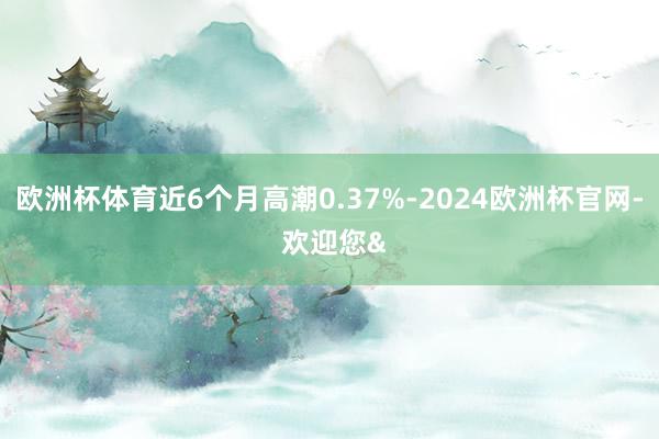 欧洲杯体育近6个月高潮0.37%-2024欧洲杯官网- 欢迎您&